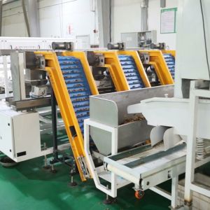 Advanced AI Deep Learning Walnut Kernel Sorting Machine, Multi-Grade Output High