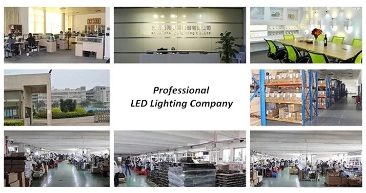 High Power 500w led flood light 100W 50W 30W 20W 10W Slim IP65 Waterproof Outdoor LED Floodlight COB Flood Light Spotlights