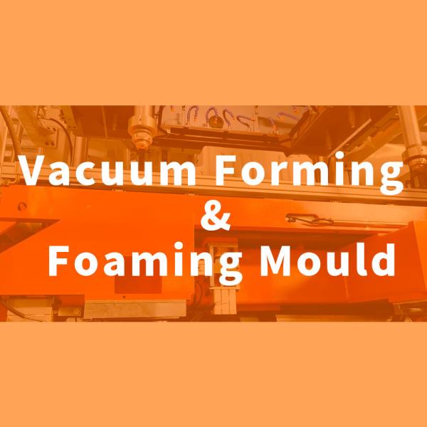 Quality Vacuum Forming And Foaming Mould for sale
