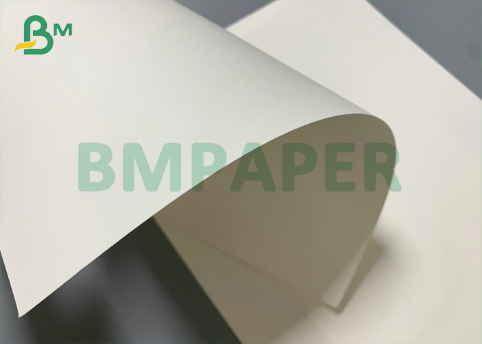 325 / 350g White FBB Board With Food Grade For Pharmaceutical Use Paper