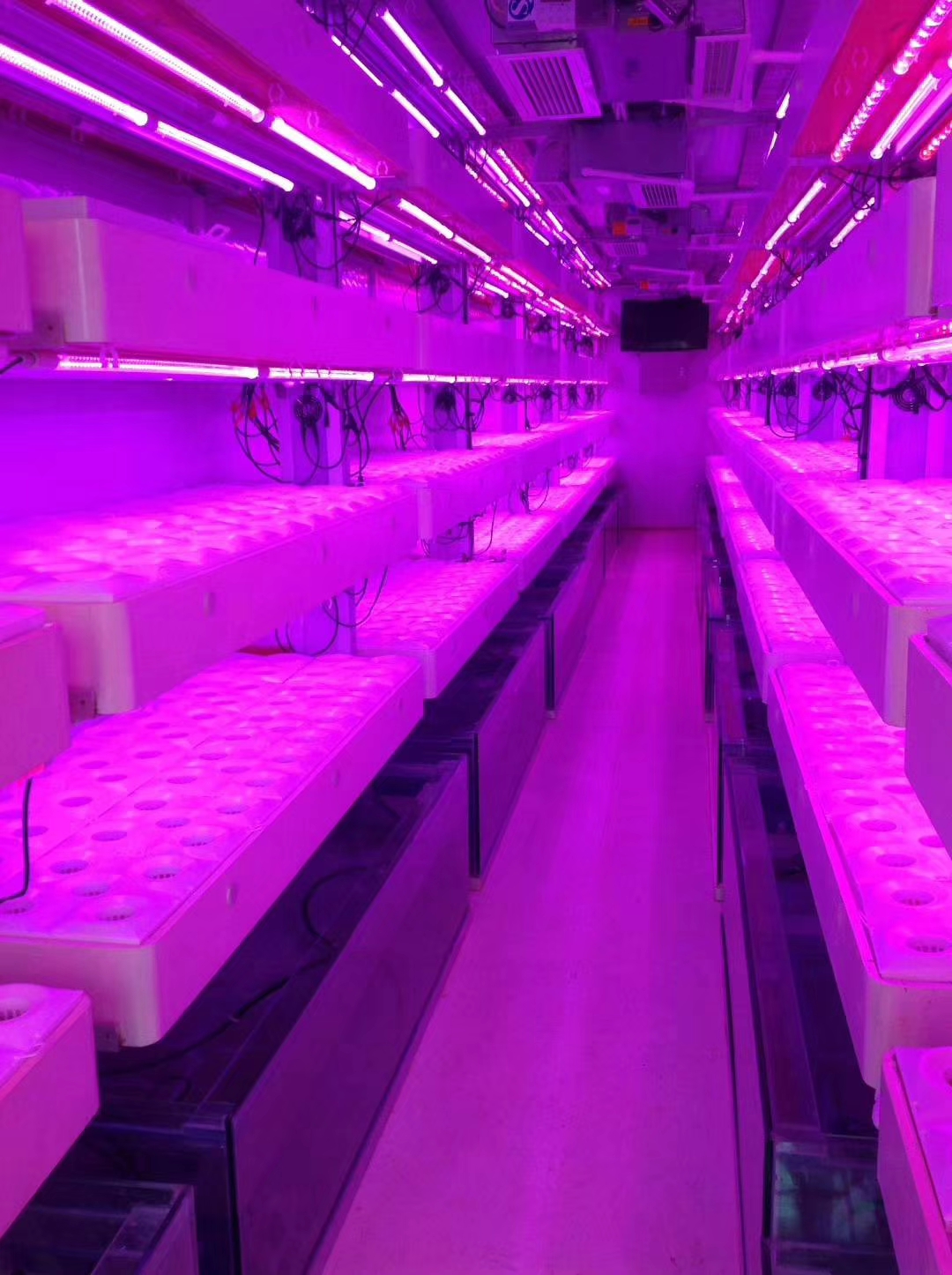 Freezer Shipping Container Farm Hydroponic Green Efficient Growth Plant Container