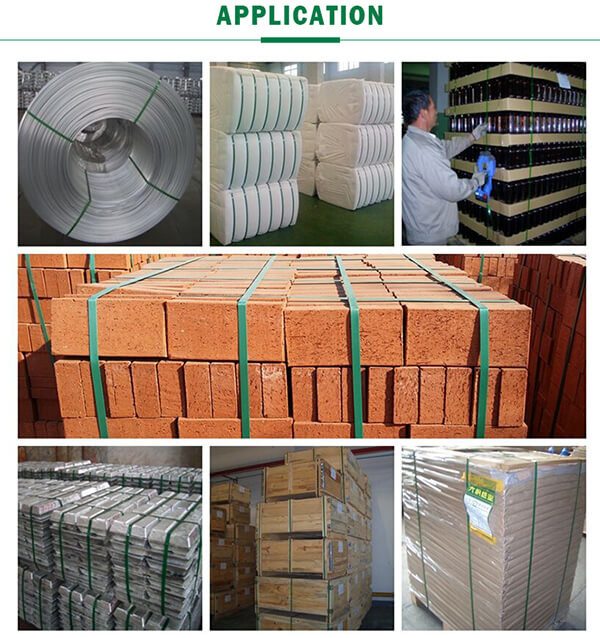 Pet Strapping Band Making Machine Pet Packing Belt Extrusion Machine Pet Packing Strip Production Line