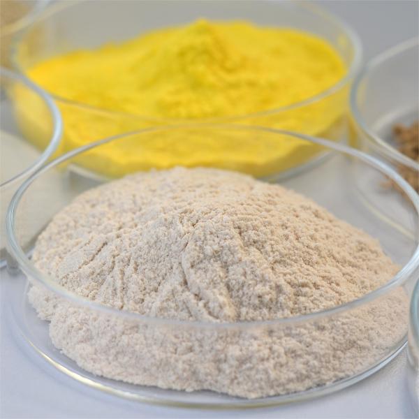 Thermostable Alkaline Protease Bioenergy Enzyme Hydrolyze Peptides Industrial