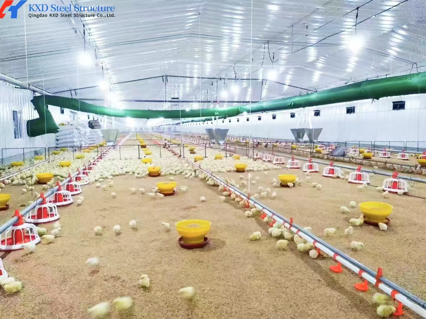 Steel Structure Plant Warehouse Poultry House Commercial Building Steel Structure