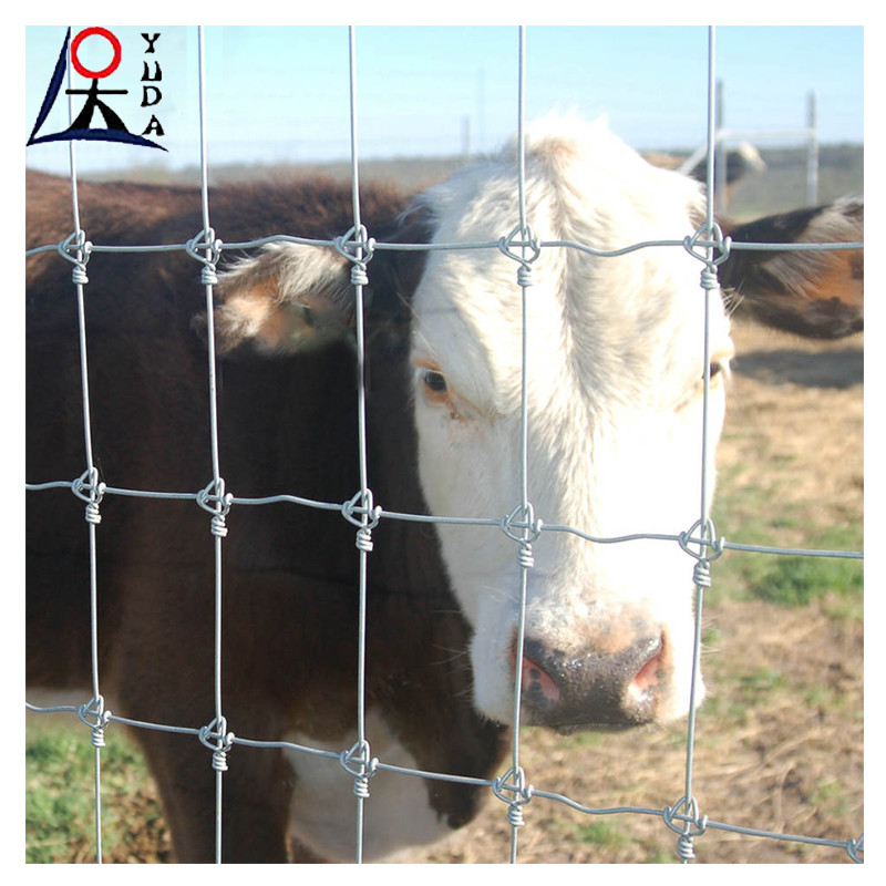 Farm Livestock Field Fence Management Galvanized Horse Deer Fence