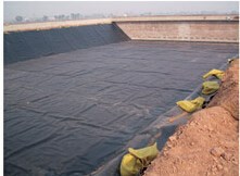 Customized Fish Growing Container Tank Liner Made of HDPE Material with UV Protection