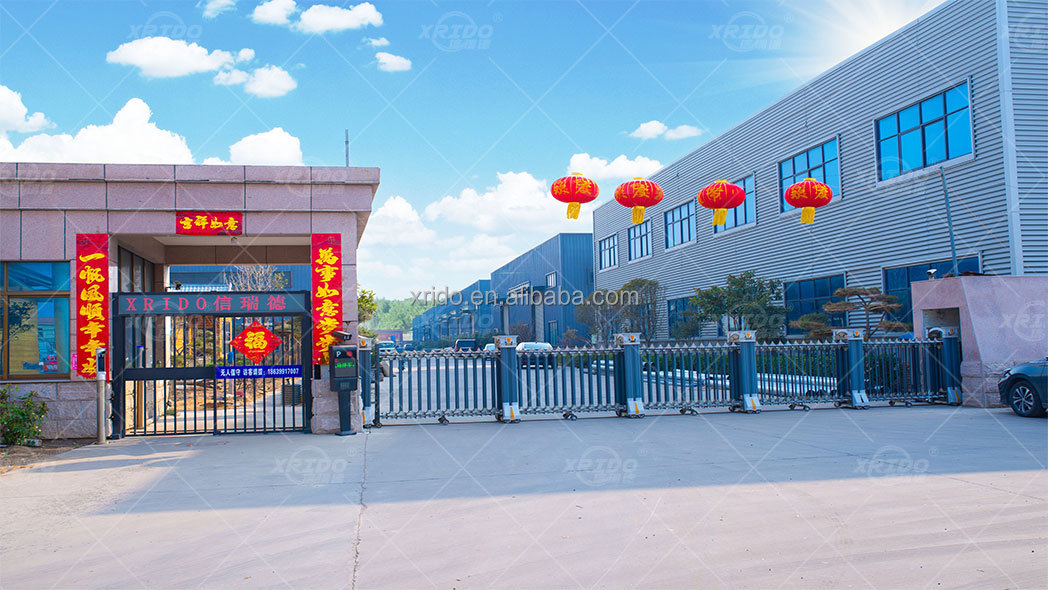 Customizable for Customers Metal Sorting Eccentric Rotor Magnetic Eddy Current Separator Price