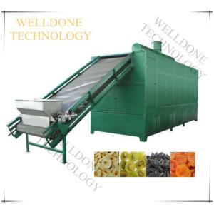 DWF Candied Fruit / Preserved Fruit / Confect Belt Dryer (Special Design)