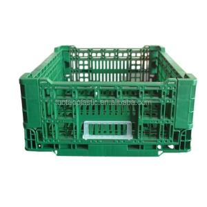 Foldable PP Mesh Crate Box Design for Convenient Storage of Fruits and Vegetables