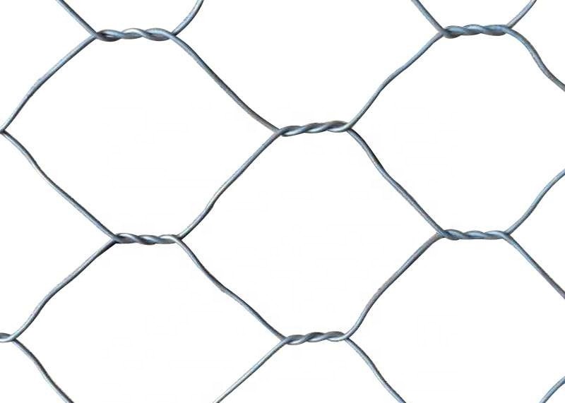 0.3mm Dia Chicken Iron Galvanized Hexagonal Wire Mesh 2m Width