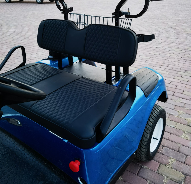 Export EV 2 Seater Golf Cart 48V 3.5KW AC System Good Quality Golf Trolley