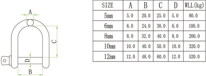 Stainless Steel 316 / 304 European D Shackle