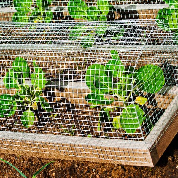 High Quality Welded Wire Mesh beautiful commercial bird cages rabbit cages/cage lapin/rabbit farming equipment
