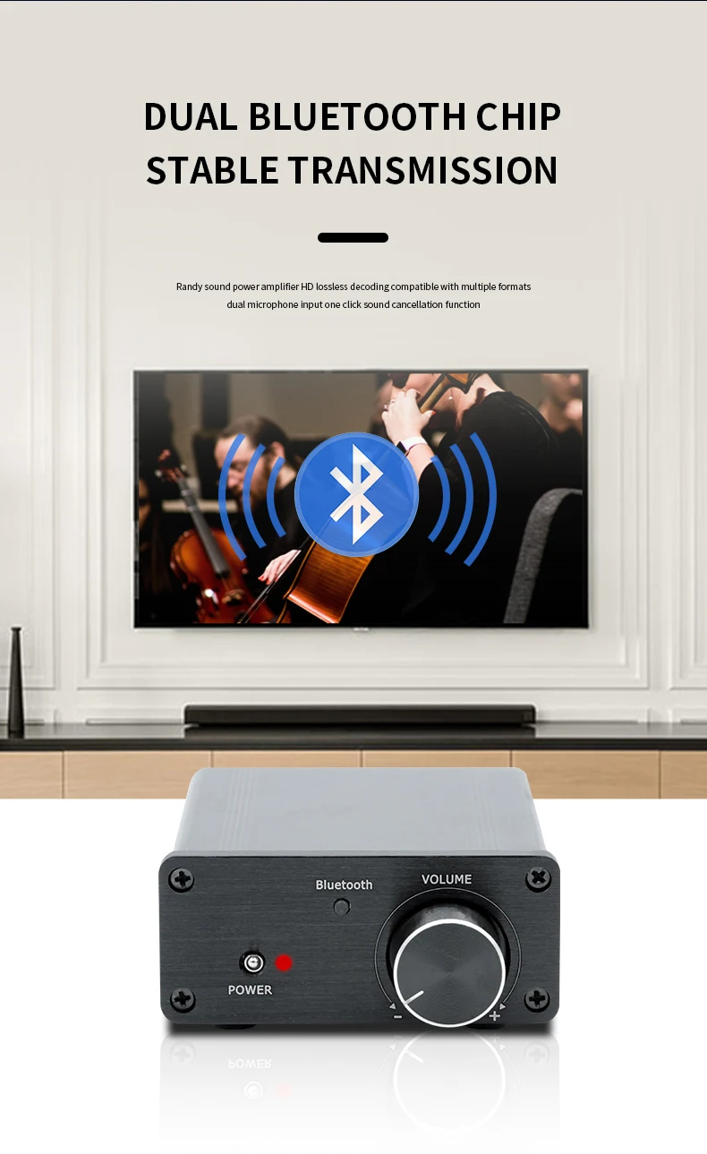 TPA3116 Digital Sound Power Amplifier 100W X2 Mini HiFi Stereo Class D Audio Power Amplifiers for Home Theater