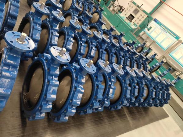 Cast ductile iron pn16 jis10k chinese factory Lug type butterfly valves