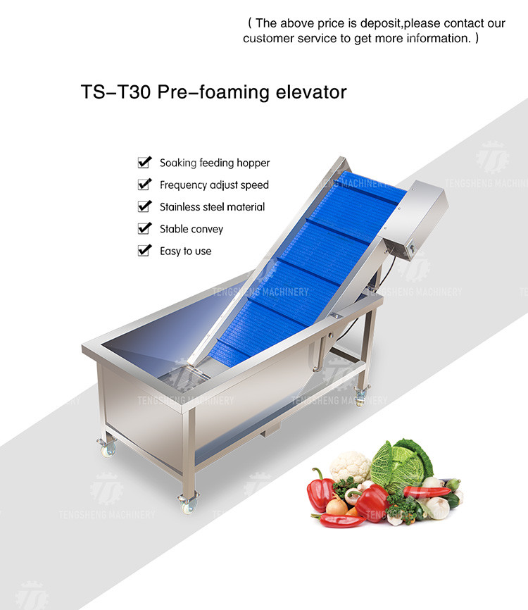 2pcs/Min Industrial Vegetable Processing Machine Automatic Elevator Food Conveying