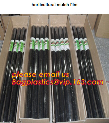 Multi-Span Plastic Film Cover Natural Ventilation Vegetable Greenhouse,Greenhouse Kits Plastic Greenhouse 200 micron gre