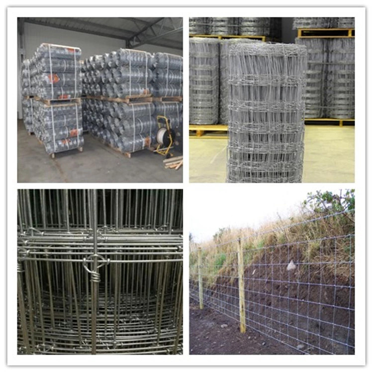 Galvanized Steel Woven Wire Hinge Joint Fencing