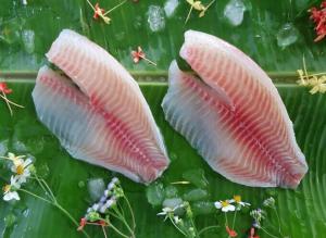  Frozen Tilapia Fillet Manufactures