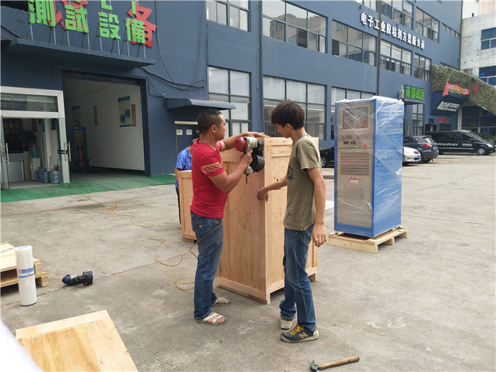 3000HZ High Acceleration Electrodynamic Vibration Shaker Table