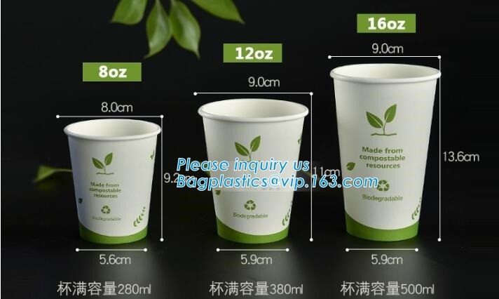 Meal Prep Containers Free Sample Bento Lunch Box Biodegradable Food Container Plastic Wheat Straw Lunch Box bagplastics