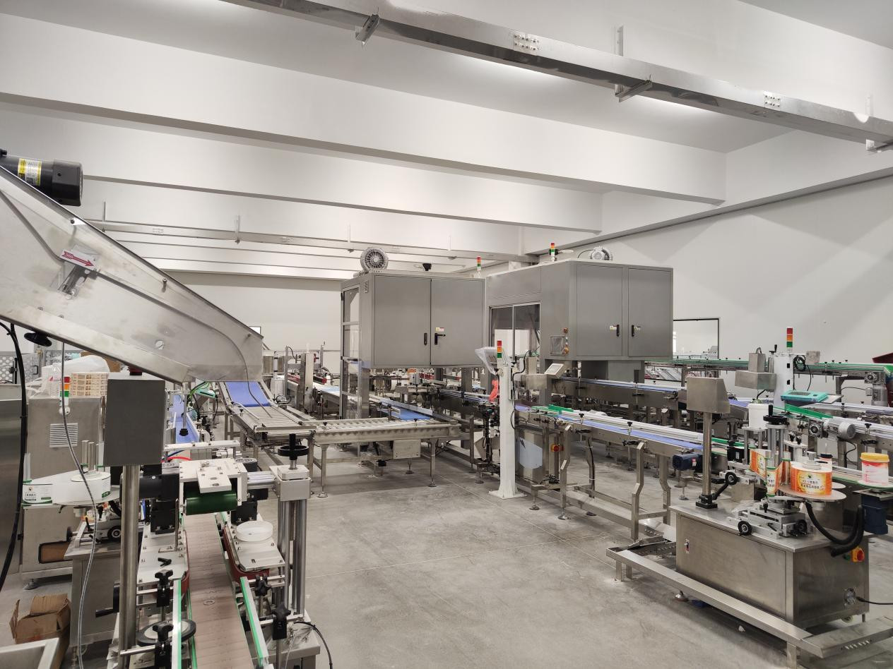 Industrial Food Packaging Machine Fully Automatic Snack Packaging Line