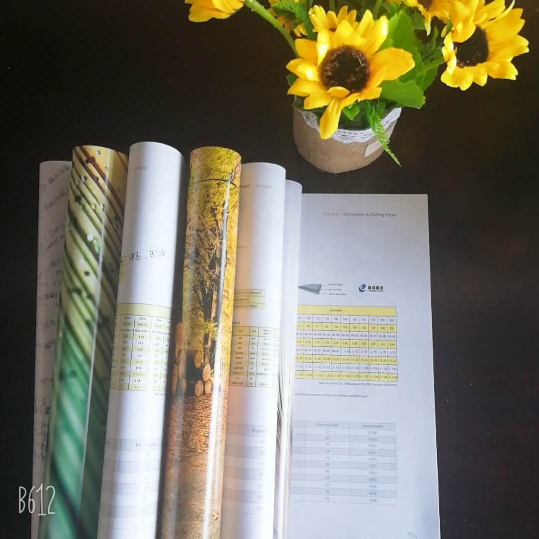 110*68*12mm Gloss/Matte Art Paper 2/S Coated for Offset Printing and Long-lasting