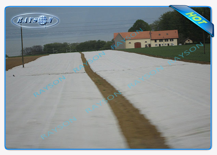 White or Black Non Woven Landscape Fabric with 3% UV for Agriculture Plant Cover