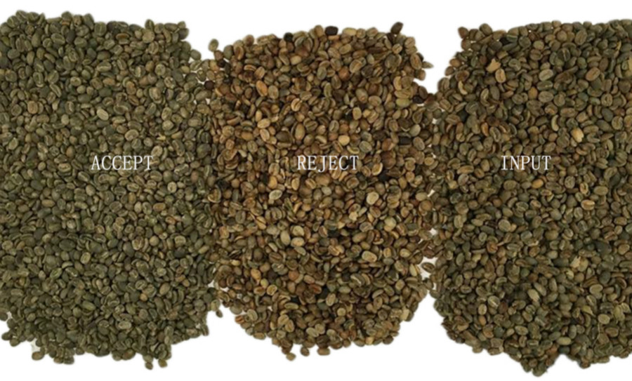 Intelligent CCD Chutes Coffee Bean Color Sorting Machine Coffee Bean Color Sorter