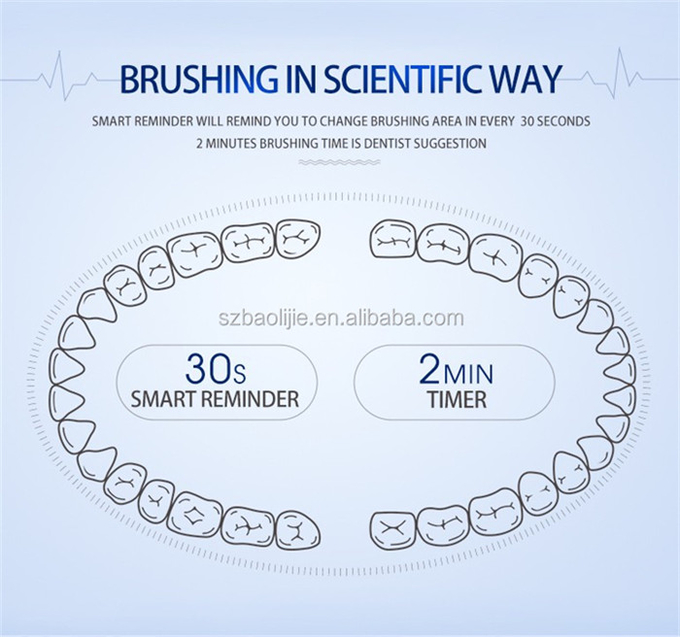 SN801 Segment Time Reminder Electric Sonic Toothbrush With Magnetic Suspension