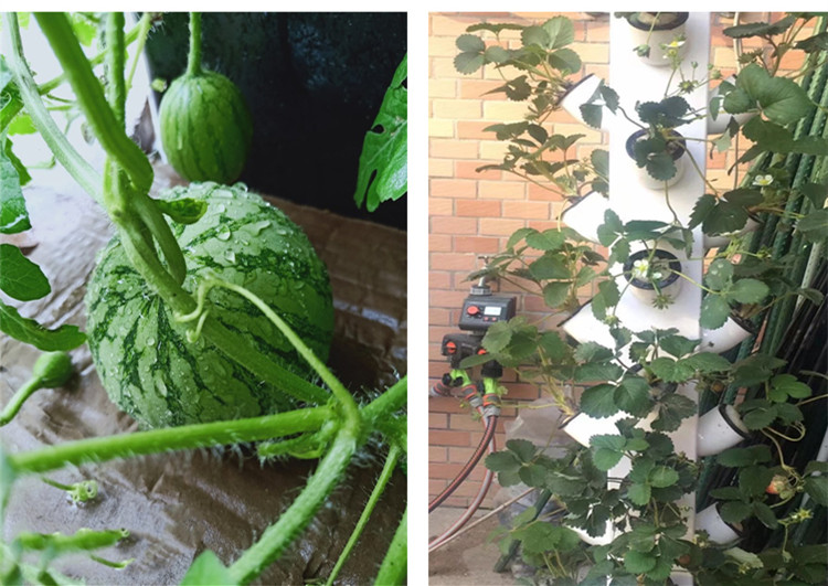 Perfect Vertical Column Hydroponic Aeroponic Planting System Aeroponic Growtower