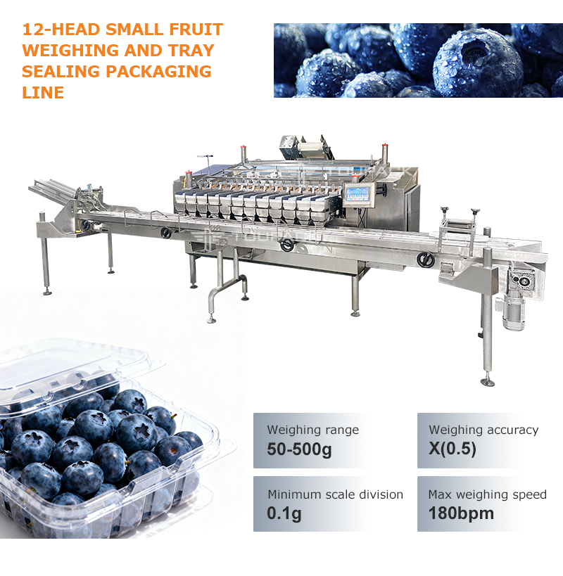 Speed Meets Precision: The Ultimate Small Fruit Packaging Solution