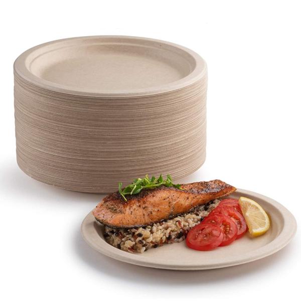 100% Compostable 8.75 Inches Natural, Biodegradable Food Plate For Food And