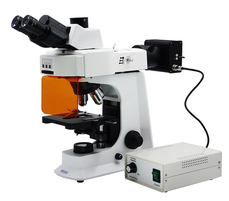 OPTO-EDU A16.2601 40x - 1000x LED Trinocular Fluorescence Microscope For Research / Learning