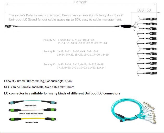 24 Fibers MPO to LC Singlemode Fiber Optic MPO-LC 2.0mm Straight harness Cables