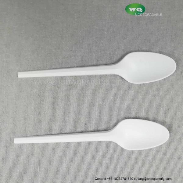 Eco Friendly Biodegradable 4.7" Ice Cream Spoon 100% All-Natural Utensils