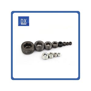 High Quality Hex Socket Forged A105 Hex Head Plug