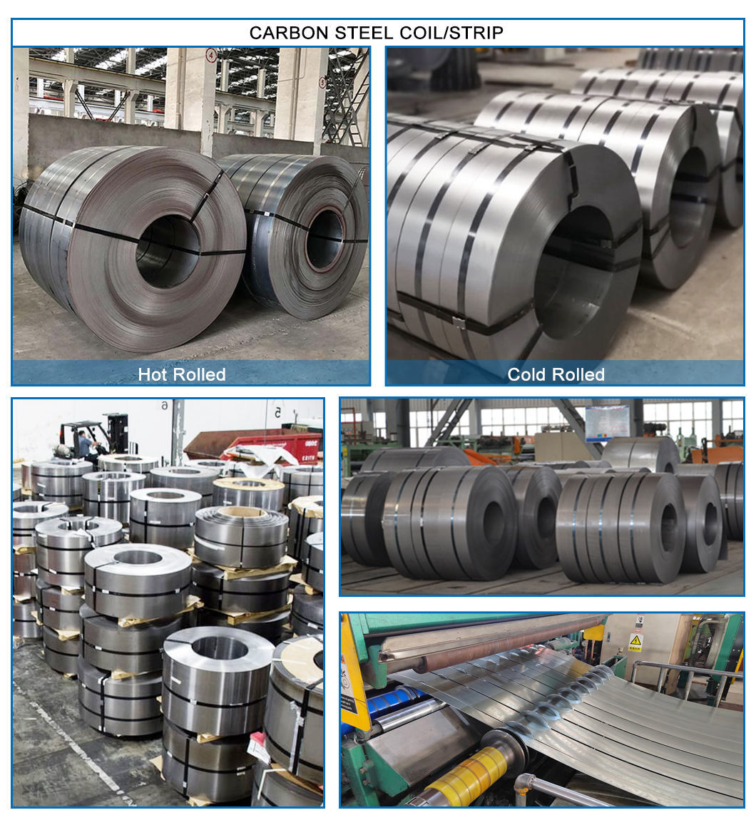 Hot rolled  Carbon steel coil