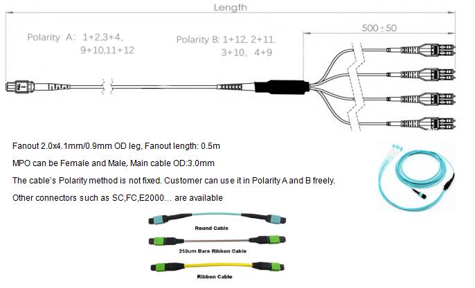 8 Fibers MPO to LC OM4 Fiber Optic MPO-LC 2.0mm Straight harness Cables