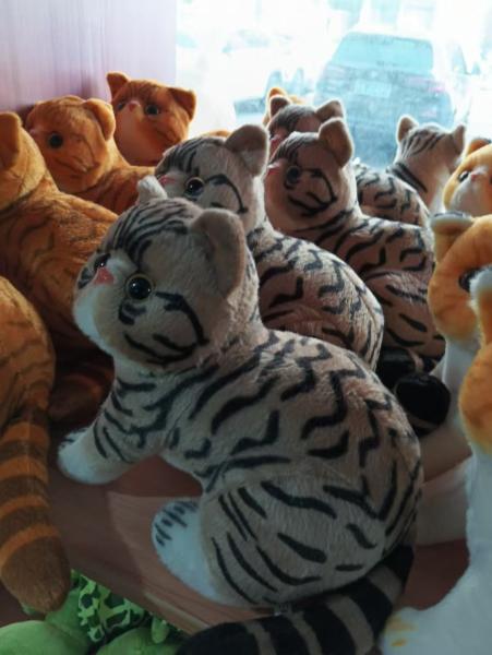 Cute patterned kitten cat plush toy stuffed toy cartoon animal handicraft gift