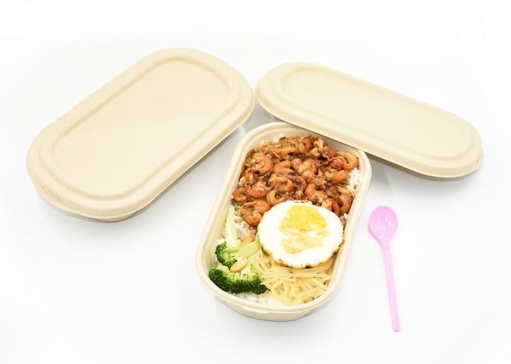 1000ml Biodegradable Straw pulp food container 2 compartments paper food tray with PP lid