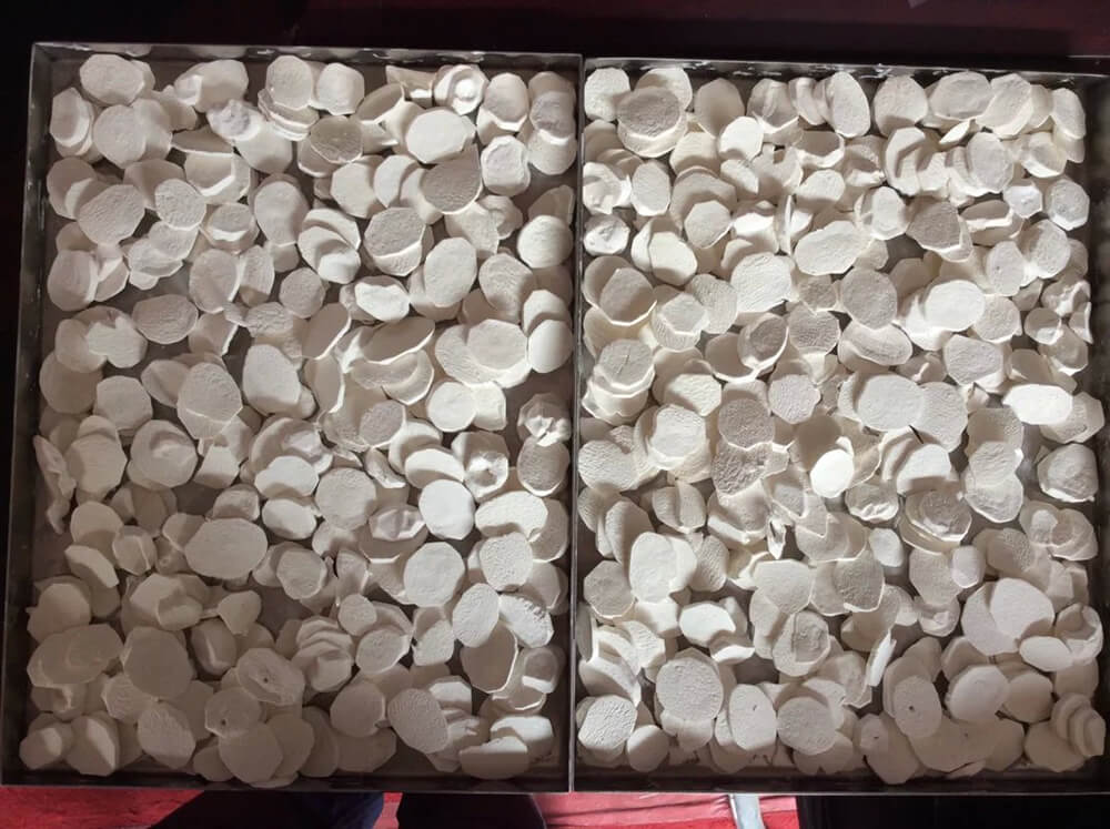 freeze dried sample