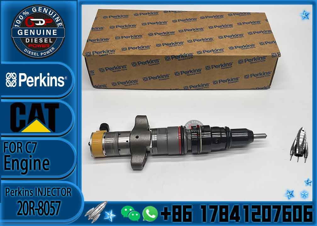Diesel Engine Parts Common Rail Fuel Injector 20R-8057 for CAT C7 Diesel Engine CNDIP Factory price