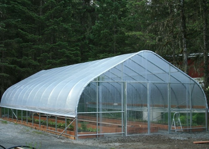 500m2 Garden Gothic Greenhouse Poly Film Stong Wind Resistance For Tomatoes Cucumber Growing