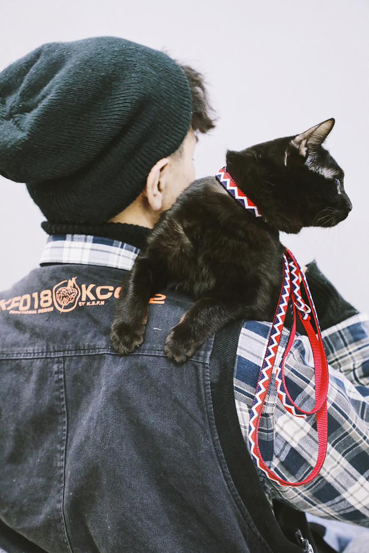 Cat Vest Harness And Leash Set To Outdoor Walking Nylon Pet Rope Cat Chest Strap