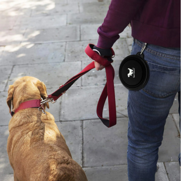 Costom Slow Feeder Dog Bowl Tpe Rubber Dog Bowl Travel Drink Feeder