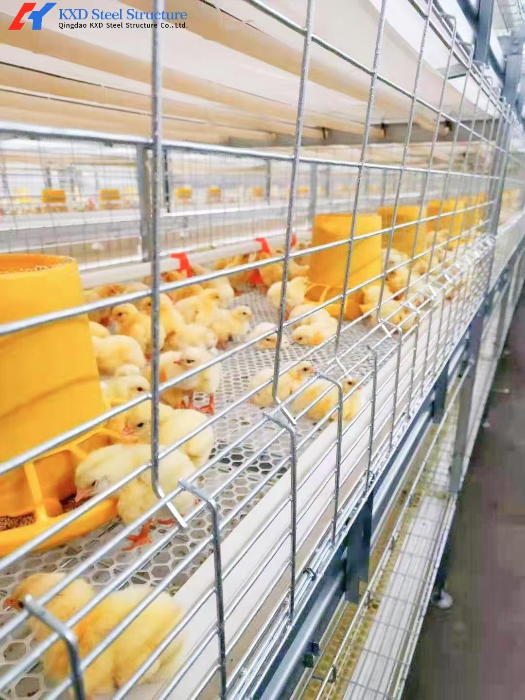 Stainless Steel Poultry Chicken Egg Washing Machine Salted Duck Egg Cleaning Machine
