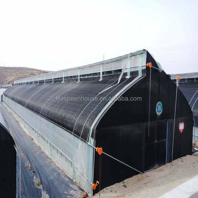 PE Material Hydroponic Vegetable Vertical Farming Groove System for Easy and Planting