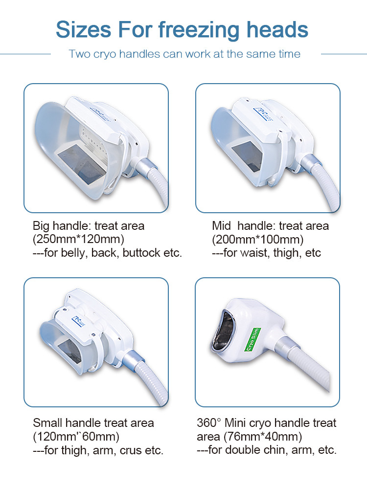 LF-233 2 in 1 Portable cryolipolysis lipo laser freezing cryo Fat reduce Device