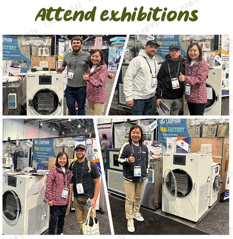 Freeze Drying Equipment Household Freeze Dryer Machine Freeze Dry Machine For Home